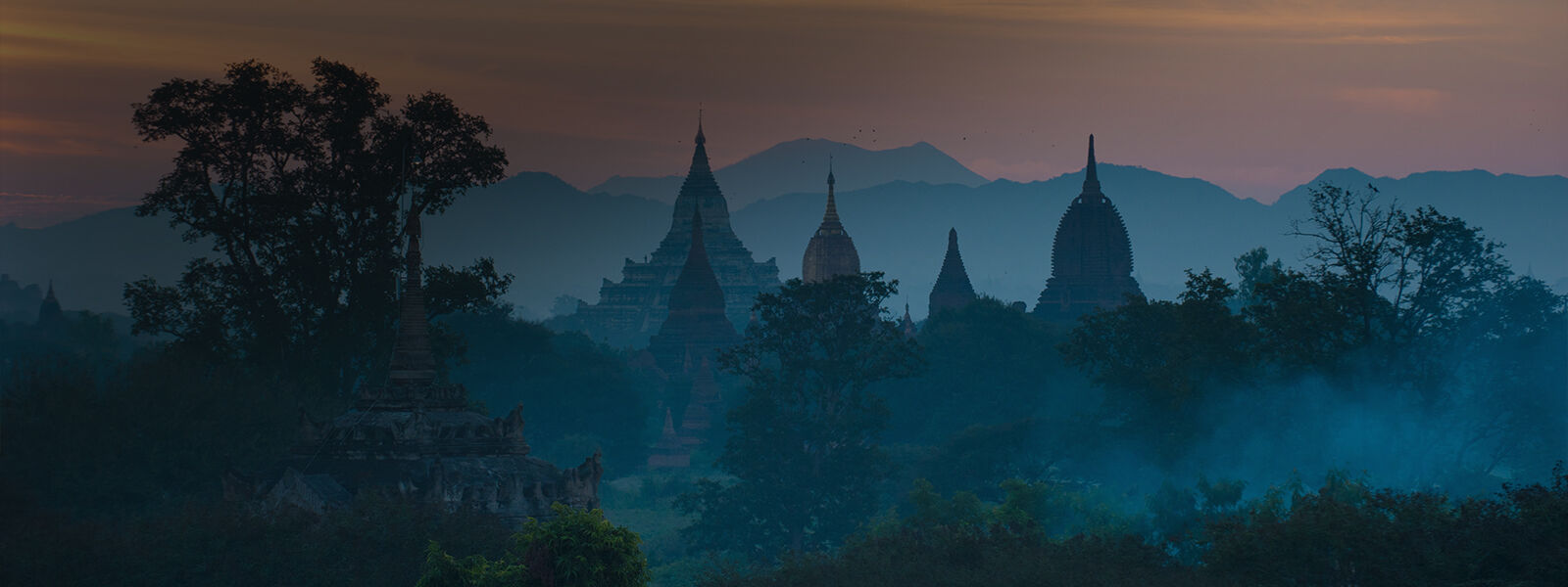 Charltons Natural Resources